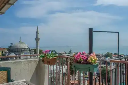 Tulip House - 8