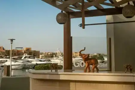Ali Pasha - 11