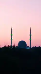 Fun&Sun Smart Hane Sun - 30