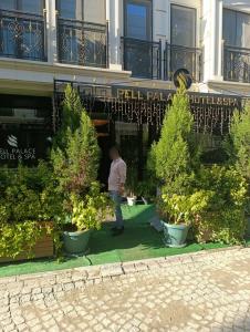 Pell Palace & Spa - 38