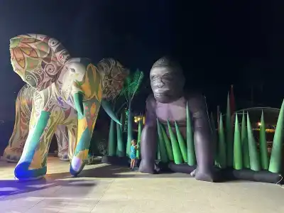 Euphoria Palm Beach Resort - 82