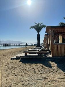 Venosa Beach Resort & Spa - All Inclusive - 21