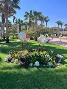 Jaz Mirabel Resort - 39