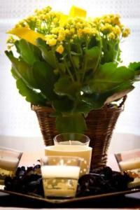 City UNIO superior - 56