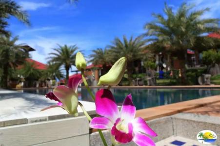 Chomview Resort - 65