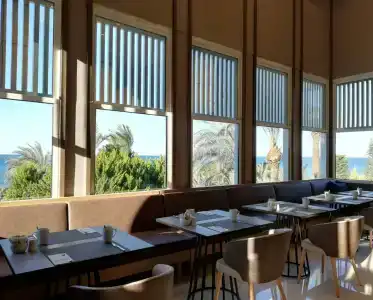 Paloma Perissia - 86