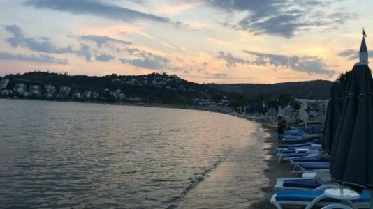 Bitez Garden Life - 53