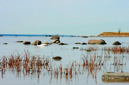 Tallinn Viimsi Spa & Waterpark - 14