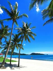 Patong Princess - 40