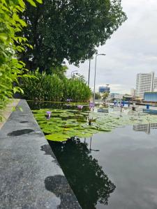 Millennium Hilton Bangkok - 24