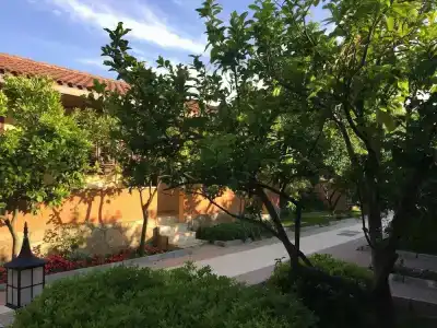 Ozlem Garden - All Inclusive - 50