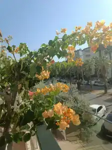 Tac Premier & Spa - 85