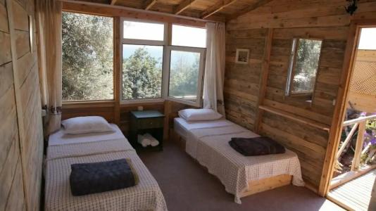 Shiva Camp - 35