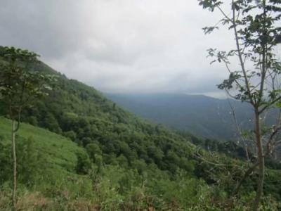 Zarha Mountain Resort - 83