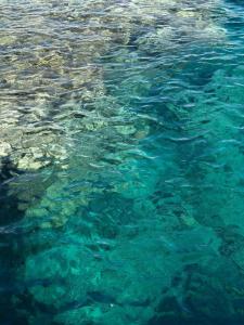 Concorde El Salam Sharm El Sheikh Front - 28