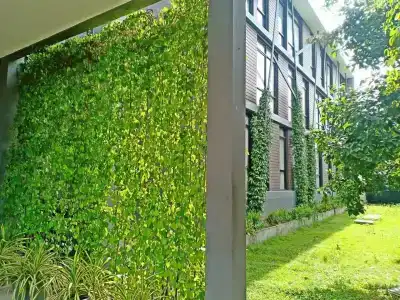 Vismaya Suvarnabhumi - 8