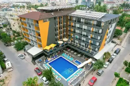 Arsi - 19