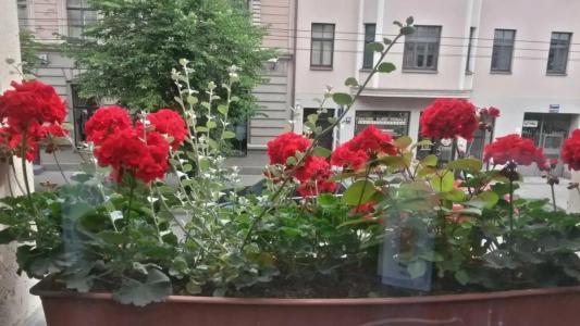 A1 Riga City Center - 7