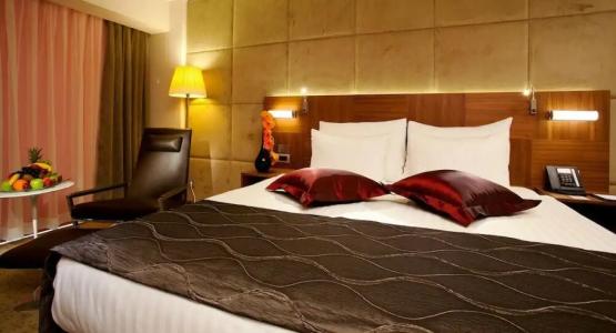 Crowne Plaza Istanbul Harbiye - 40
