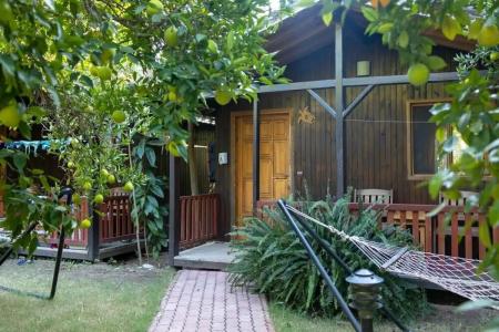 Caretta Caretta Pension - 88