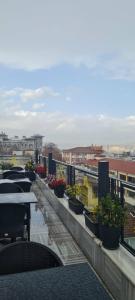 Agora Life - 80