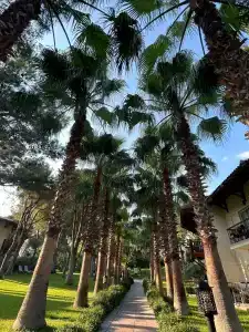 Papillon Belvil Holiday Village - 17