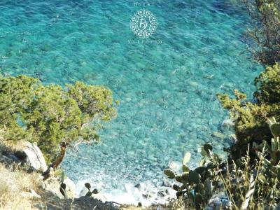 AeR BJ Vittoria - 26