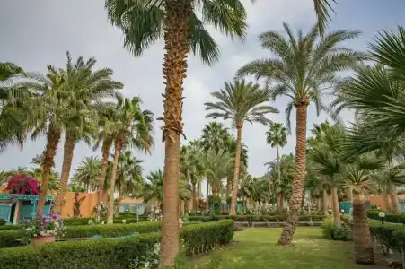 Giftun Azur Resort - 86