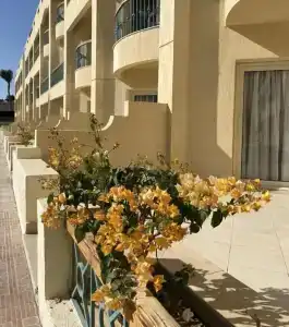 Aurora Oriental Resort Sharm El Sheikh - 14