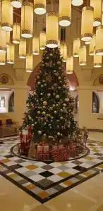 The Cove Rotana Resort - Ras Al Khaimah - 30