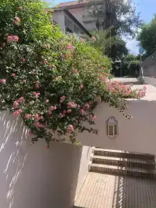 Panorama - All Inclusive - 52
