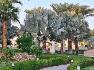 Xperience Kiroseiz AquaPark Premier-Naama Bay - 16