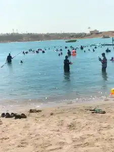 Turquoise Beach - 69