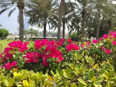 Coral Beach Resort Sharjah - 25
