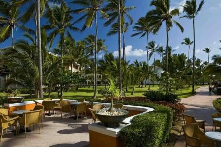 VIK Arena Blanca - 83