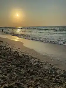 Al Seef - 7