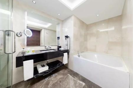 Dedeman Bostanci Istanbul & Convention Center - 84