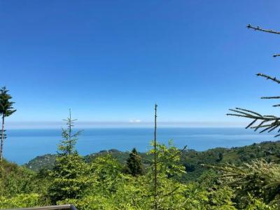 Zarha Mountain Resort - 35