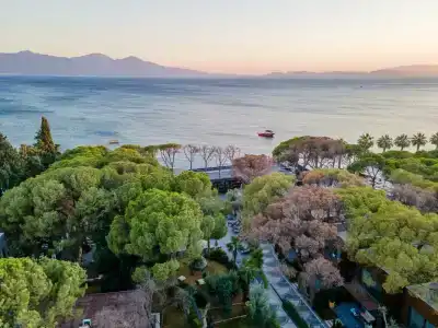 Unique Life Style - 75