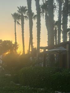 Parklane, a Luxury Collection Resort & Spa, Limassol - 74