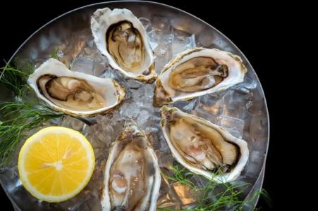 Kata Rocks - SHA Extra Plus - 42