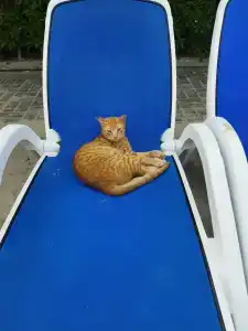 Ramada & Suites by Wyndham Ajman - 42