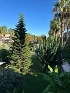 Dobedan World Palace ''Ex Brand Alva Donna World Palace '' - 66