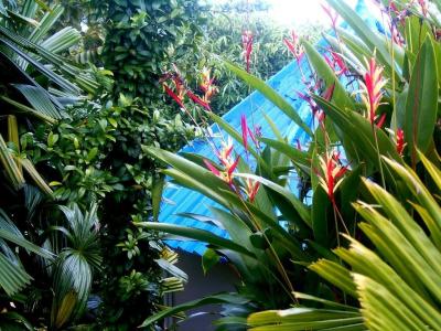 Koh Mak Buri Hut Natural Resort - 63