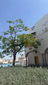 Concorde El Salam Sharm El Sheikh Sport - 92