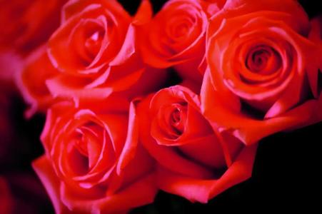 The Ritz-Carlton Ras Al Khaimah, Al Wadi Desert - 48