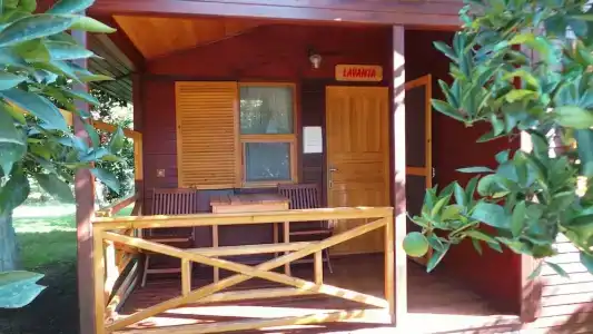 Mercan Bungalow - 44