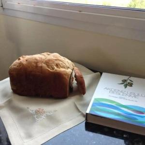 Alacati Kostem - Special Category - 47