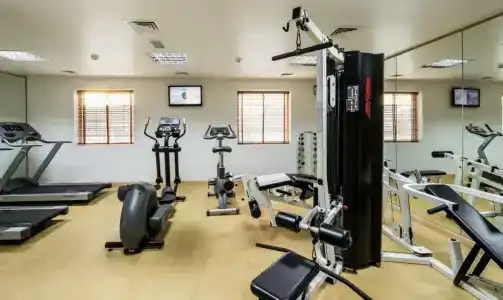 Holiday Inn Express Dubai - Jumeirah - 49