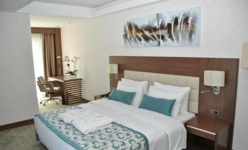 Mercure Istanbul Altunizade - 65